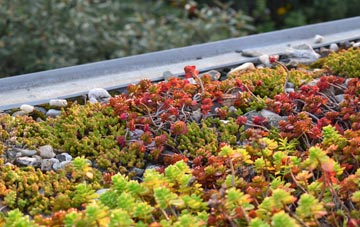 the cost of Andersea green roof installation