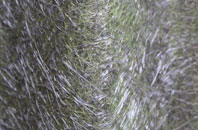 Andersea fibreglass roof work